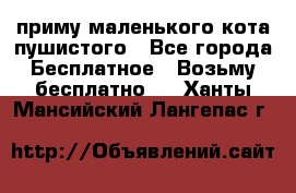 приму маленького кота пушистого - Все города Бесплатное » Возьму бесплатно   . Ханты-Мансийский,Лангепас г.